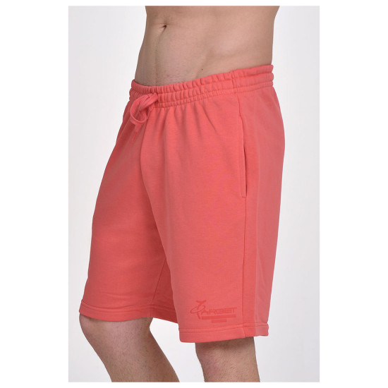 Target Ανδρικό σορτς Bermuda French Terry "Basics New Logo"